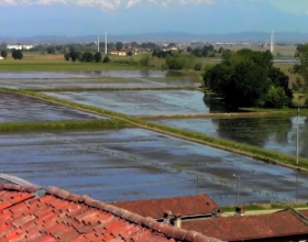 Le Guide di Repubblica raccontano Le terre del Riso, un “mare a quadretti” tra Alessandria, Biella, Novara, Vercelli e Pavia