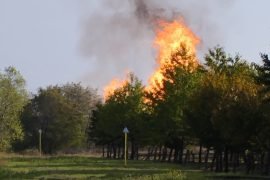 Incendio tra Cassano Spinola e Serravalle: fiamme e fumo dall’area industriale