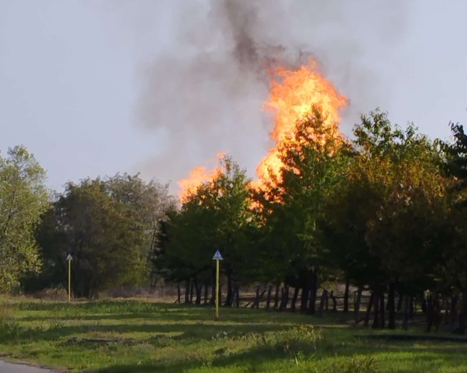 Incendio tra Cassano Spinola e Serravalle: fiamme e fumo dall’area industriale