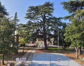 Polemica a Predosa per due alberi da abbattere nel parco del Castello: alcuni cittadini contro il sindaco