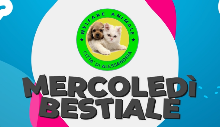 “Mercoledì Bestiale”: su Radio Gold e Radio Gold Tv alle 17.40 la rubrica dedicata al mondo animale