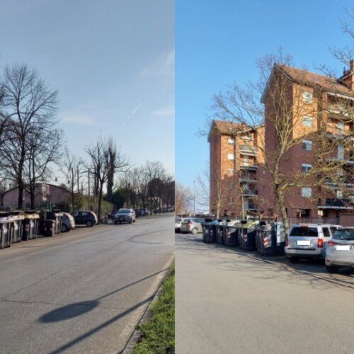 Nuovi alberi ad Alessandria: entro maggio via Boves e l’area parco di via della Moisa saranno più verdi