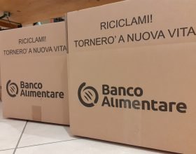 Colletta Alimentare, 80 tonnellate raccolte tra provincia, Oltrepo e Asti: “Calo fisiologico”
