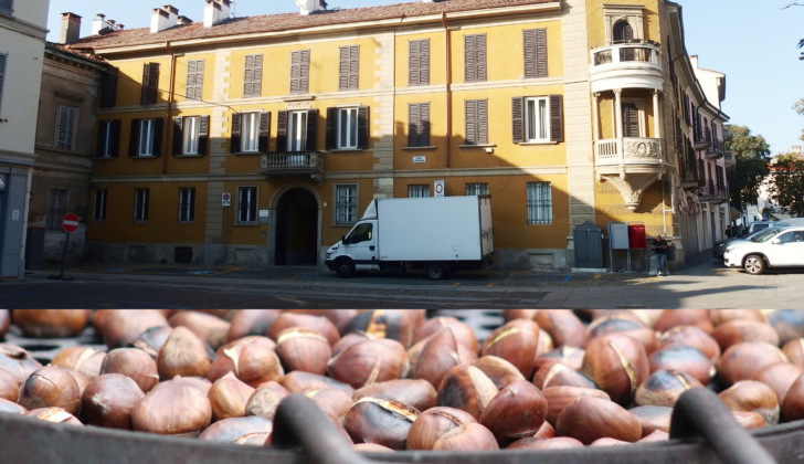 Castagnata di novembre a Pavia: tante caldarroste in Piazza Petrarca