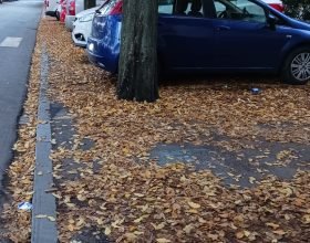 “Parcheggi e marciapiedi con foglie e cartacce, ho pulito io”: lo sfogo di un alessandrino di via Sacco
