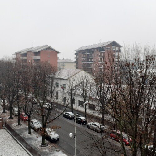 Neve ad Alessandria, Comune: “Spargisale all’opera già da qualche giorno. Usare l’auto solo se necessario”