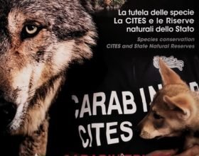 Il nuovo calendario “Cites” dei Carabinieri dedicato alle aree protette del mondo