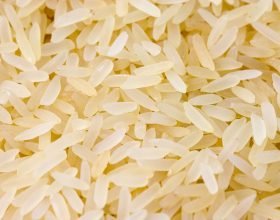 Siccità: S.O.S. riso italiano, semine ai minimi da 30 anni