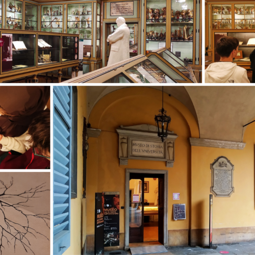 I 150 anni dalla scoperta di Camillo Golgi. I musei di Pavia celebrano l’inventore della Reazione Nera