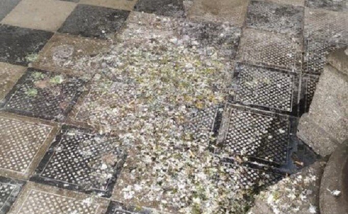 “Portici di piazza Garibaldi sporchi, servirebbero dissuasori per piccioni”: la segnalazione di una cittadina