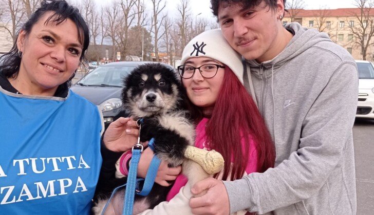 Zeus, il cane senza zampina, ha trovato una famiglia: “Per noi è unico, volevamo aiutare un cucciolo speciale”