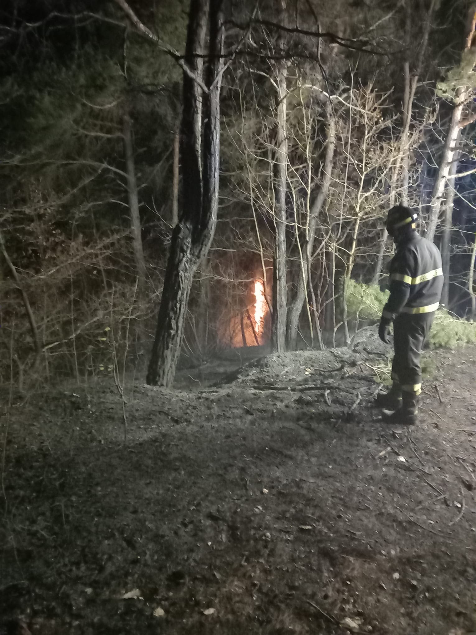 Spento l’incendio boschivo tra Ponzone e Cartosio. Evacuate due famiglie in località Fogli