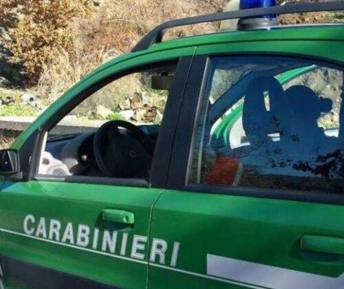 Salvataggio dei due turisti olandesi nei boschi di Cantalupo Ligure: l’aiuto fondamentale dei Carabinieri Forestali