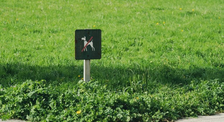 Ad Acqui un’ordinanza con le regole per i proprietari di cani: multe fino a 500 euro