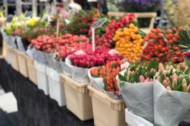 Cosa fare in provincia di Alessandria. Gli eventi di domenica 2 aprile