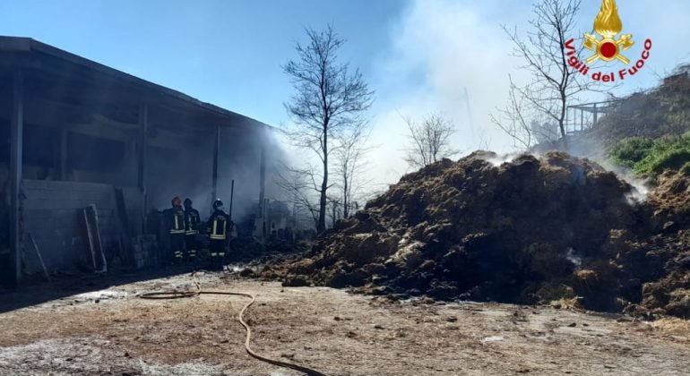 Incendio a Carpeneto: terminate le operazioni di bonifica del capannone andato a fuoco