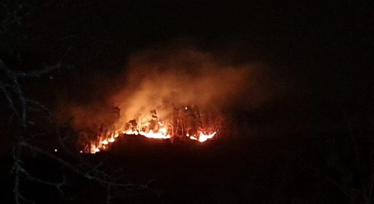 Incendio in un cascinale a Carpeneto: morti circa 90 bovini. Sul posto i Vigili del Fuoco e la Protezione Civile