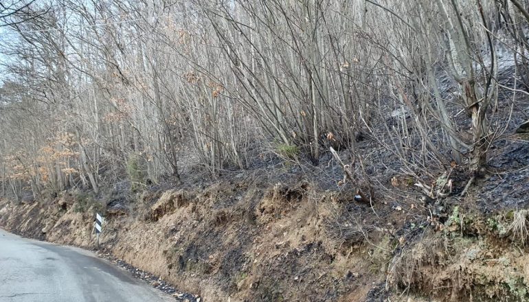 A Ponzone in fiamme due ettari di bosco: terminato il lavoro dei pompieri