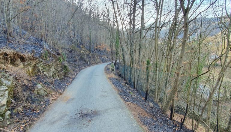 A Ponzone in fiamme due ettari di bosco: terminato il lavoro dei pompieri