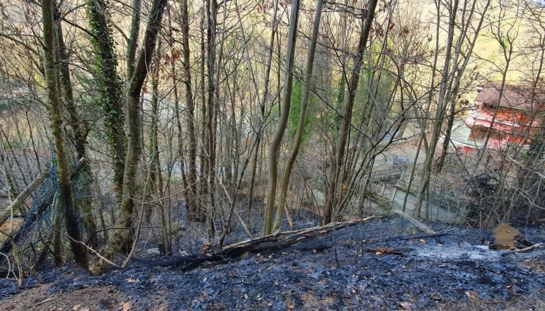 A Ponzone in fiamme due ettari di bosco: terminato il lavoro dei pompieri