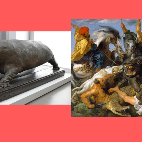 L’ippopotamo dei Gonzaga nell’arte e quell’aneddoto sulla tela di Rubens