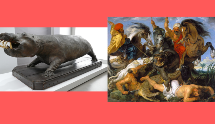 L’ippopotamo dei Gonzaga nell’arte e quell’aneddoto sulla tela di Rubens