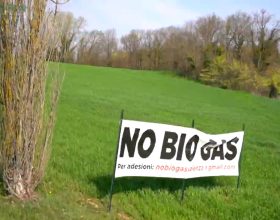 Biogas Valenza, il video della Fondazione Capellino dà voce a chi dice no: “Si ponga fine a questo scempio”