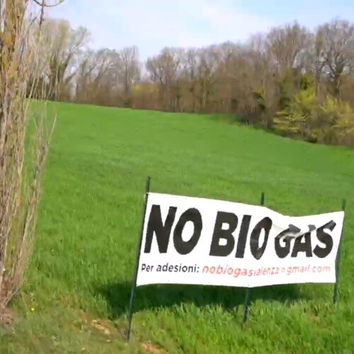 Biogas Valenza, il video della Fondazione Capellino dà voce a chi dice no: “Si ponga fine a questo scempio”