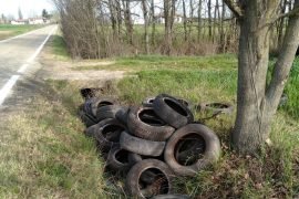 Rimossi pneumatici e cartongesso abbandonati a Villa del Foro: l’intervento degli Ispettori Ambientali