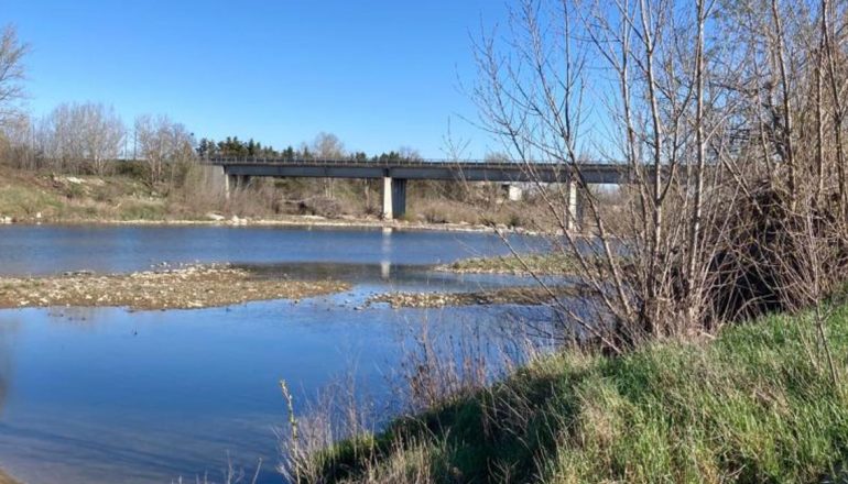 Siccità in provincia di Alessandria: anche il torrente Orba in sofferenza. Le foto da Casal Cermelli