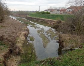 Giornata Mondiale Acqua, Confederazione Agricoltori: “La crisi idrica sia una priorità globale”