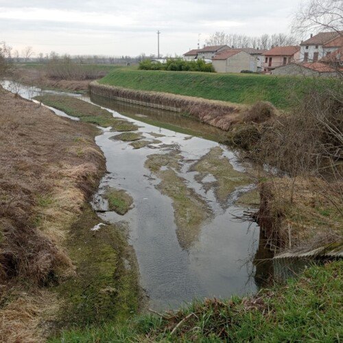 Giornata Mondiale Acqua, Confederazione Agricoltori: “La crisi idrica sia una priorità globale”