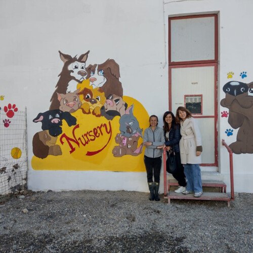 Un nuovo murale per il canile di Alessandria: realizzato dagli studenti del Cellini
