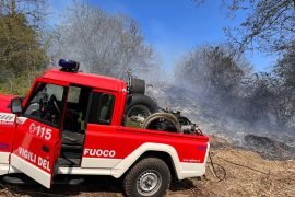 Vasto incendio a San Colombano al Lambro: le fiamme minacciano le abitazioni