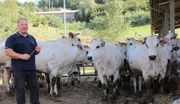 Carne sintetica, l’attacco della Confederazione Italiana Agricoltori: “Non bisognerebbe chiamarla ‘carne'”
