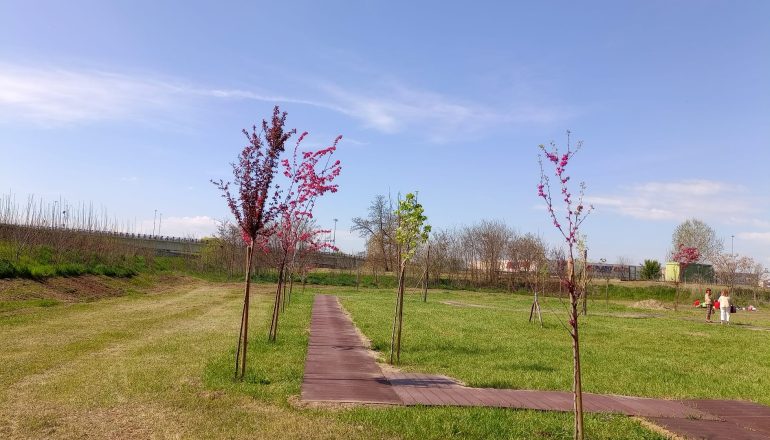 Ad Alessandria inaugurata la pista del Bosco del Sole, accessibile alle persone con disabilità