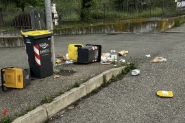 Cinghiali ancora in azione: “Ecco come sono le strade all’alba”