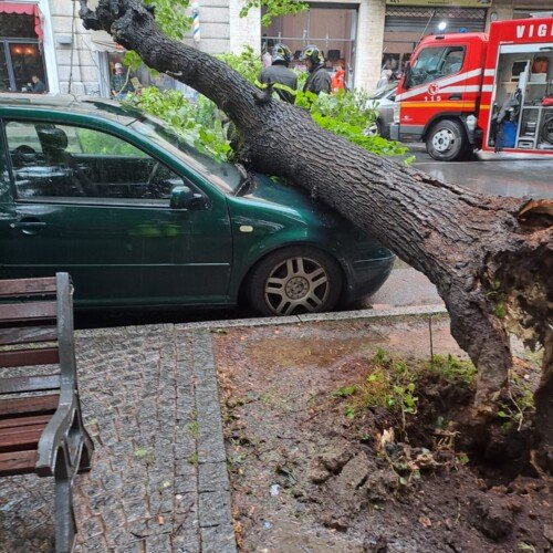 Maltempo: albero cade su un’auto in corso Crimea