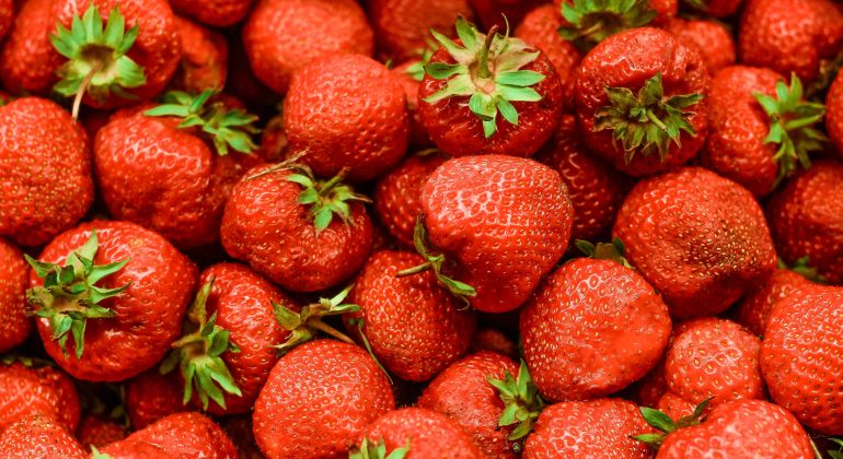 Domenica 28 maggio a Castelletto D’Erro la “Sagra delle fragole”