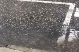 Forti piogge e grandine a Pontestura e Villanova