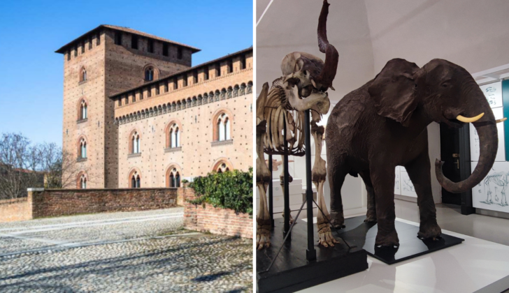 Visite guidate al Castello Visconteo e a Kosmos per la Notte dei Musei a Pavia