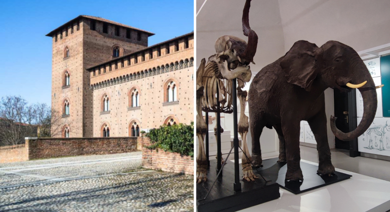 Visite guidate al Castello Visconteo e a Kosmos per la Notte dei Musei a Pavia