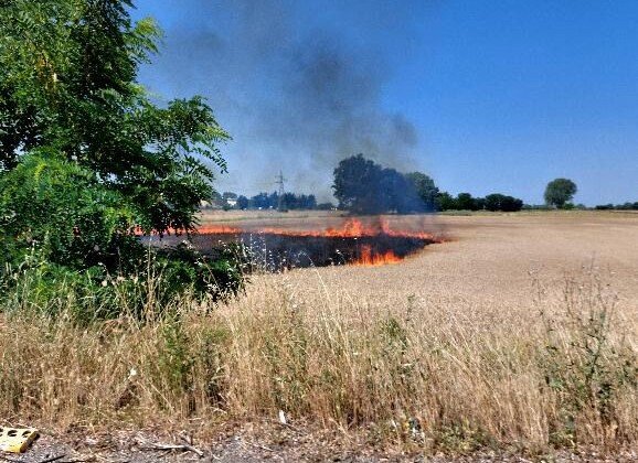 A fuoco un campo a Valmadonna: i Vigili del Fuoco sedano il rogo