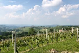 In Piemonte decolla il turismo: oltre 670 mila presenze nel 2022 nell’Alessandrino