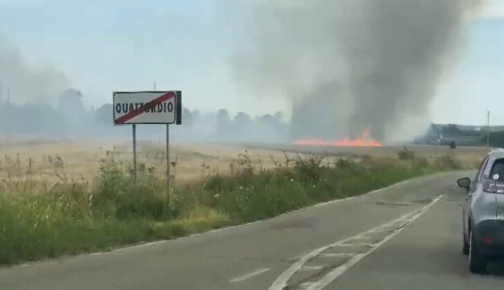 Spento il vasto incendio in un campo tra Quattordio e Masio: terminato l’intervento dei Vigili del Fuoco