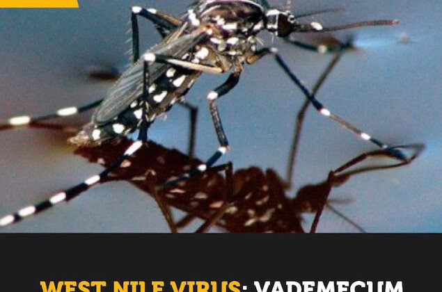 West Nile Virus: sul sito del Comune di Casale il Vademecum pe ridurre il rischio di contagio