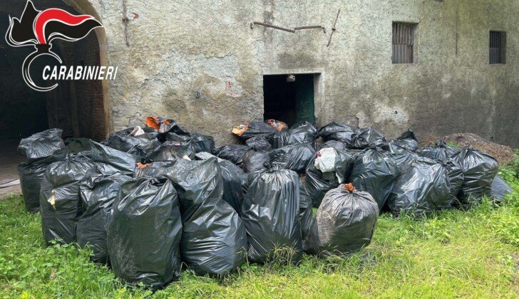 Ditta abbandona in un campo 49 sacchi con scarti edili: individuata e sanzionata dai Carabinieri