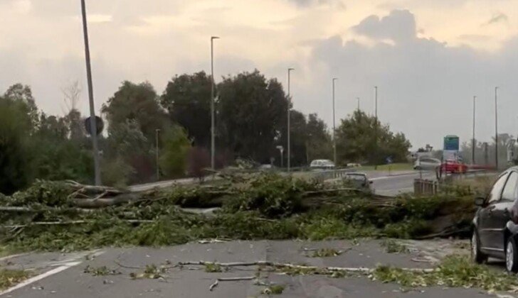 Maltempo nel Pavese: tanti alberi caduti a causa delle raffiche di vento