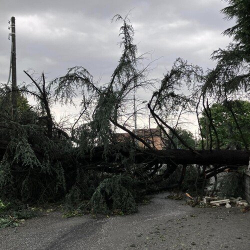 Maltempo: a Ticineto allagamenti e un albero caduto in via Vittorio Veneto