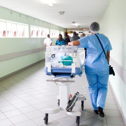Dengue, Spallanzani, “non in gravi condizioni 2 pazienti ricoverati, uno già dimesso”